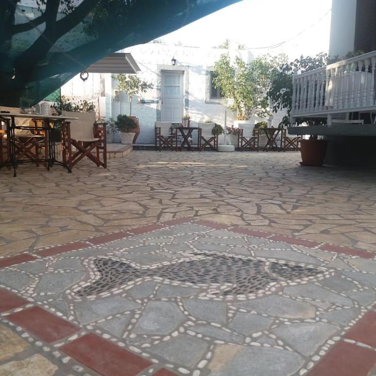 Stefanos Katsaros Studios Skála Dış mekan fotoğraf