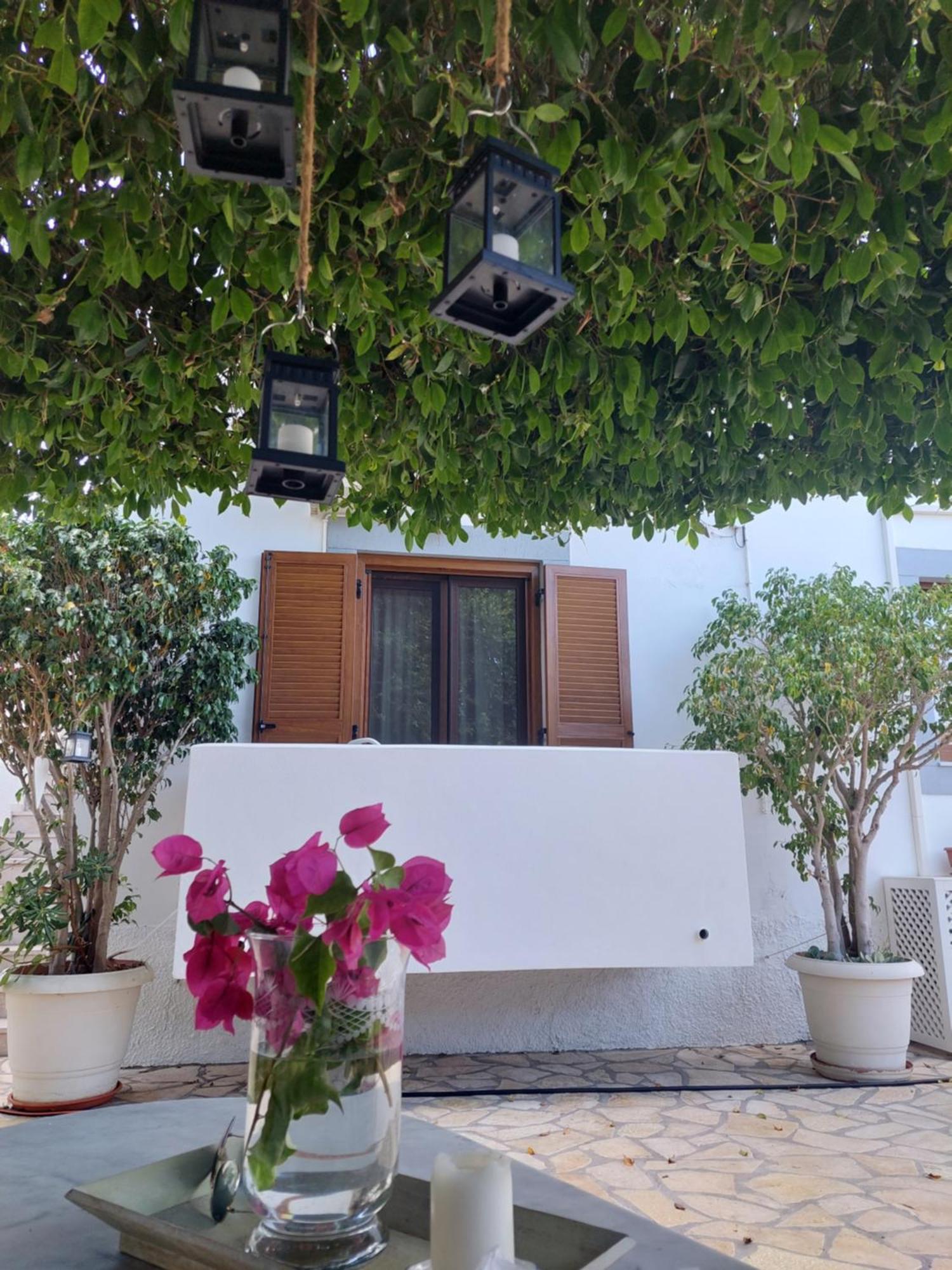 Stefanos Katsaros Studios Skála Oda fotoğraf